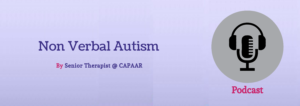 Overview of Non Verbal Autism Treatment in Bangalore