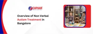 Non Verbal Autism Treatment in Bangalore