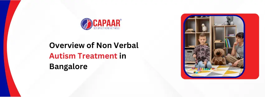 Non Verbal Autism Treatment in Bangalore
